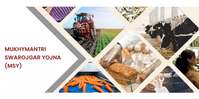 UTTARAKHAND  MUKHYMANTRI SWAROJGAR YOJNA(MSY) SUBSIDY SCHEME